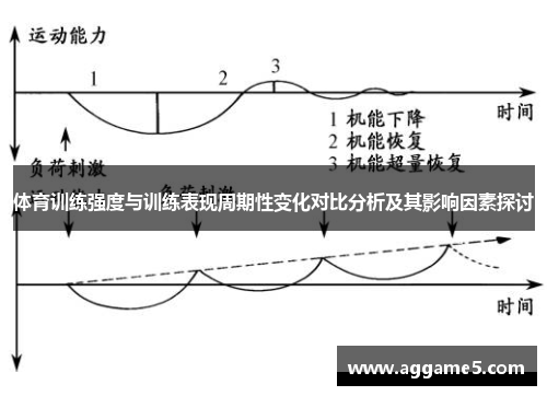 体育训练强度与训练表现周期性变化对比分析及其影响因素探讨